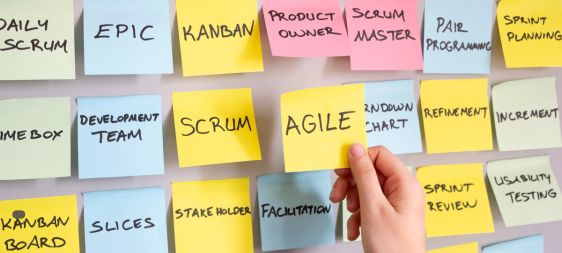 TAMBIÉN PUEDE INTERESARTE